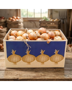 Agricultural Cartons - Onion