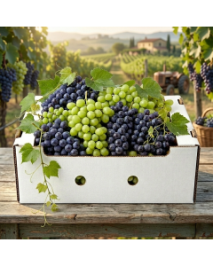 Agricultural Cartons - Grapes 5 kg