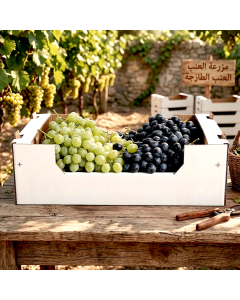 Grapes 10 kg