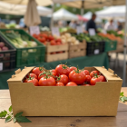 Agricultural Cartons - Tomato