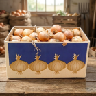 Agricultural Cartons - Onion