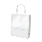 Paper Bag (Medium)